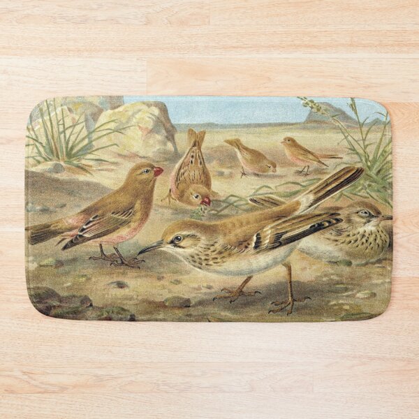 Item preview, Desert Finch and Desert Lark designed and sold by redoARTstore.
