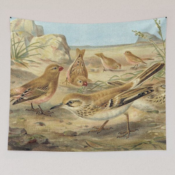 Item preview, Desert Finch and Desert Lark designed and sold by redoARTstore.