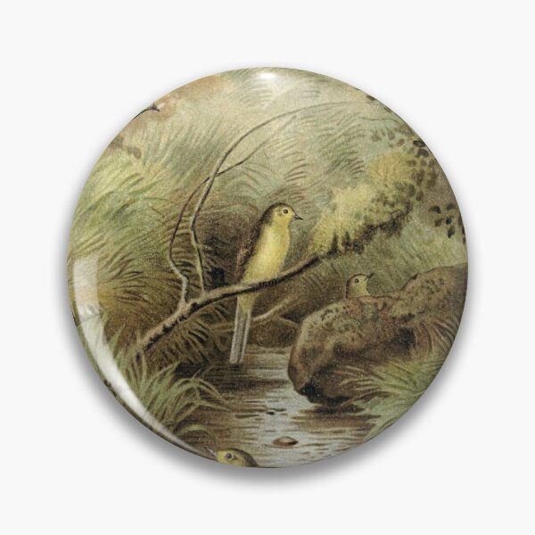 Item preview, Dipper Pied designed and sold by redoARTstore.