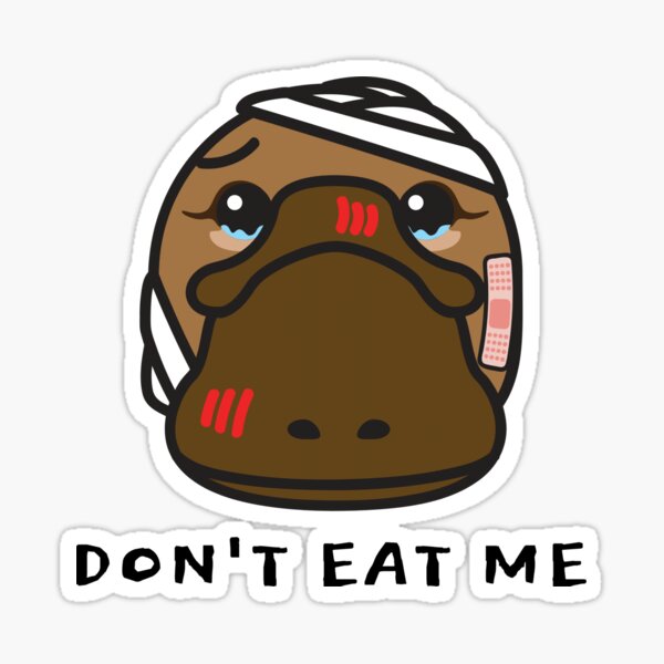 Eating Animals Is Wrong Gifts & Merchandise for Sale | Redbubble Eating Animals Is Wrong Gifts & Merchandise for Sale | Redbubble