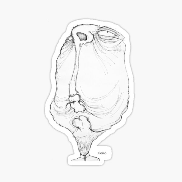 Pomp Stickers For Sale Redbubble