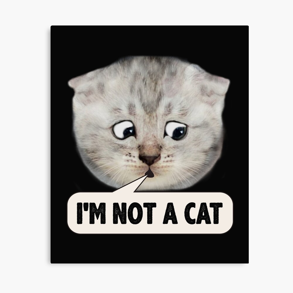 I M Not A Cat Lawyer Kitten Filter Face Funny Online Hearing Call Meme Photographic Print For Sale By Alenaz Redbubble