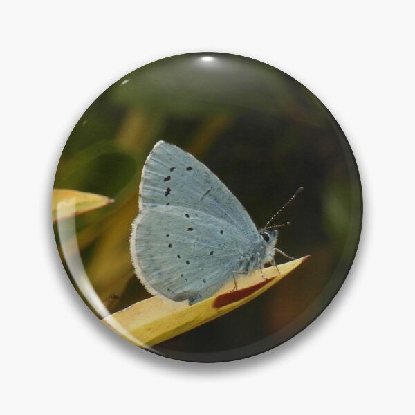 Item preview, Adonis Blue designed and sold by Fay Freshwater.