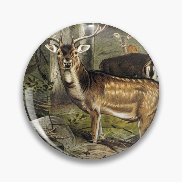 Item preview, Fallow Deer designed and sold by redoARTstore.