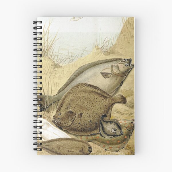 Item preview, Flat Fish designed and sold by redoARTstore.