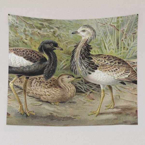 Item preview, Florican and MacQueens Bustard  designed and sold by redoARTstore.