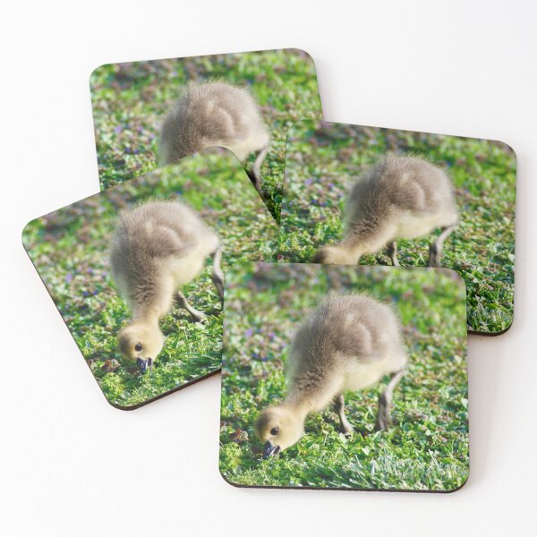 Item preview, Gosling's Big Bite designed and sold by richardbryce.