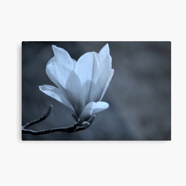 Item preview, Magnolia #2 designed and sold by Laurie Minor.