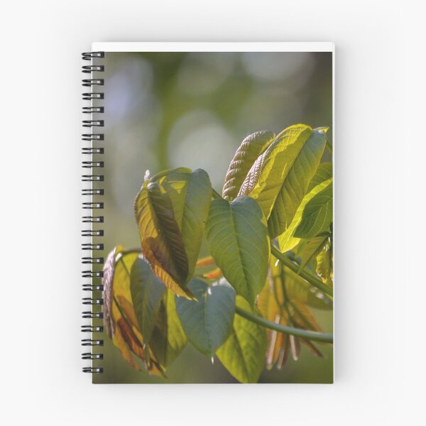 Item preview, Walnut leaves designed and sold by Olimpia Negura.