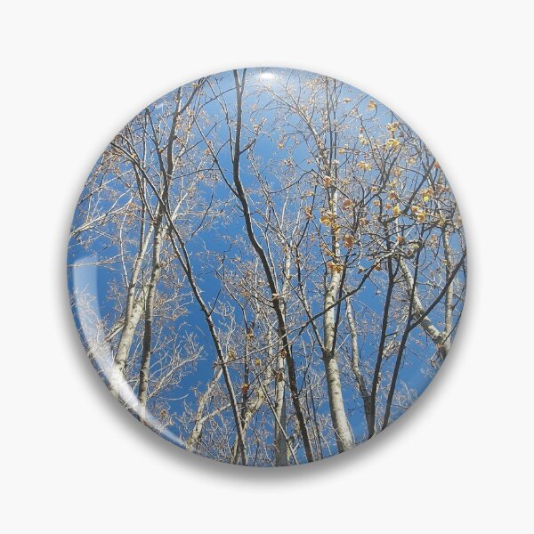 Item preview, Trees looking up to a clear blue sky designed and sold by s10-Photography.