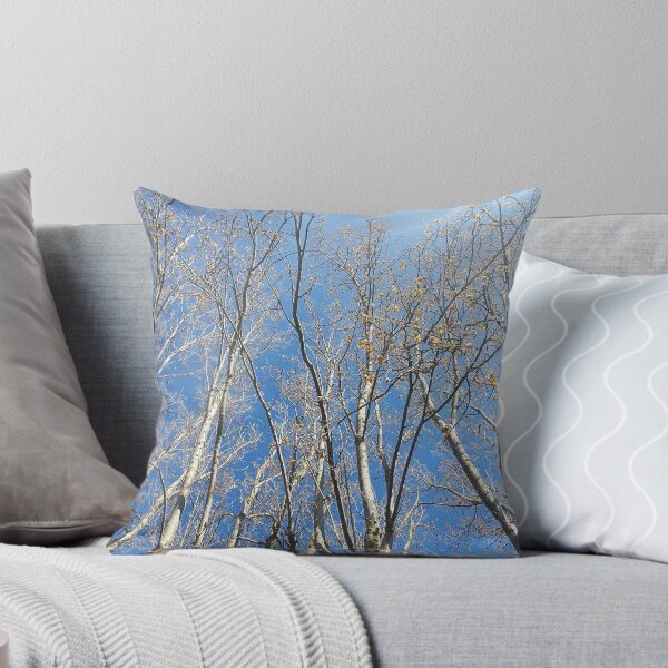 Item preview, Trees looking up to a clear blue sky designed and sold by s10-Photography.