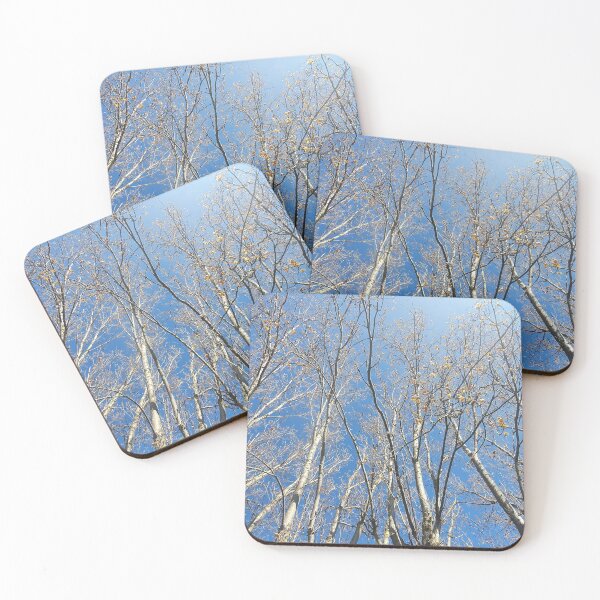 Item preview, Trees looking up to a clear blue sky designed and sold by s10-Photography.