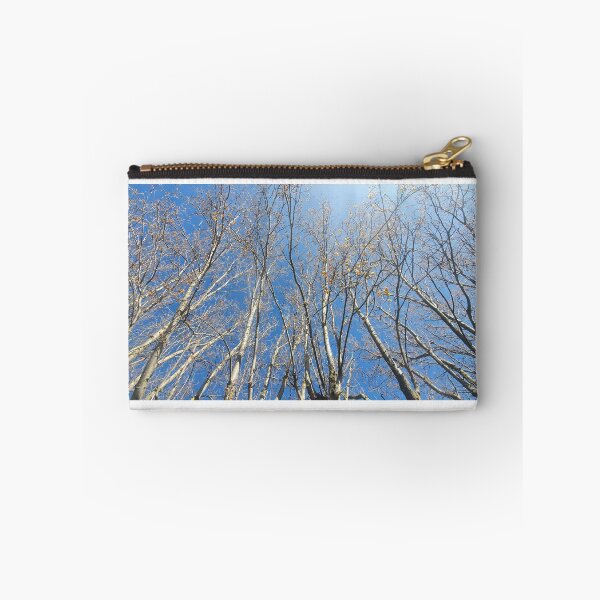 Item preview, Trees looking up to a clear blue sky designed and sold by s10-Photography.