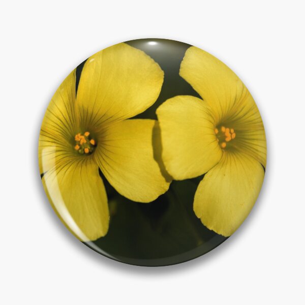 Item preview, Twins designed and sold by Tramontane Designs.