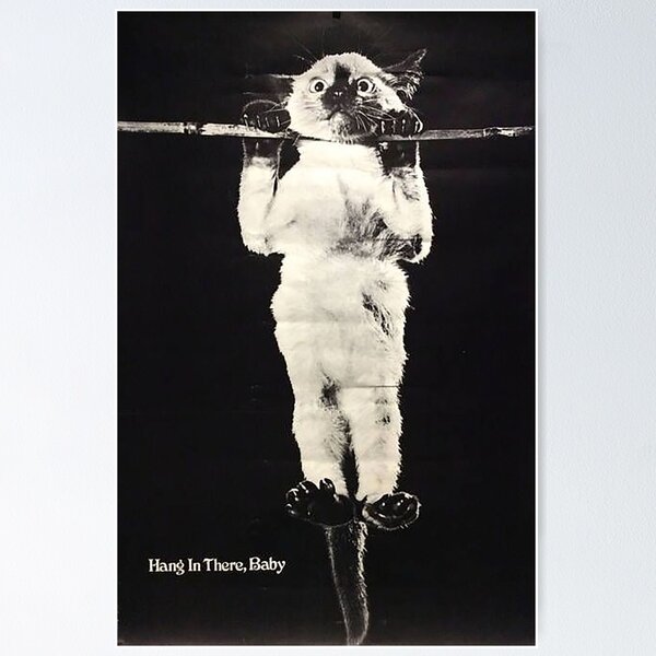 Item preview, Cat In Hang Poster designed and sold by marklemans.