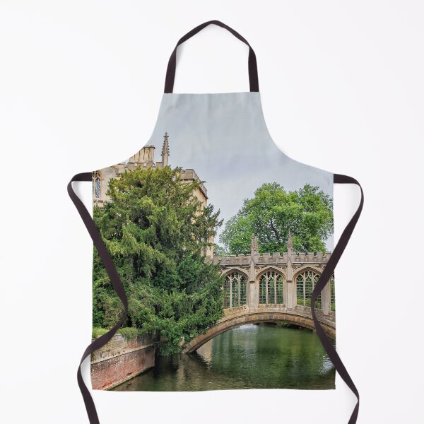 Item preview, St Johns college and the Bridge of sighs, Cambridge university designed and sold by Photopat.