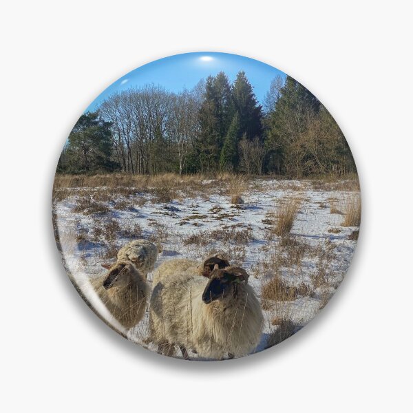 Item preview, Group of horned sheep in the snow on the heath in The Netherlands designed and sold by Photopat.