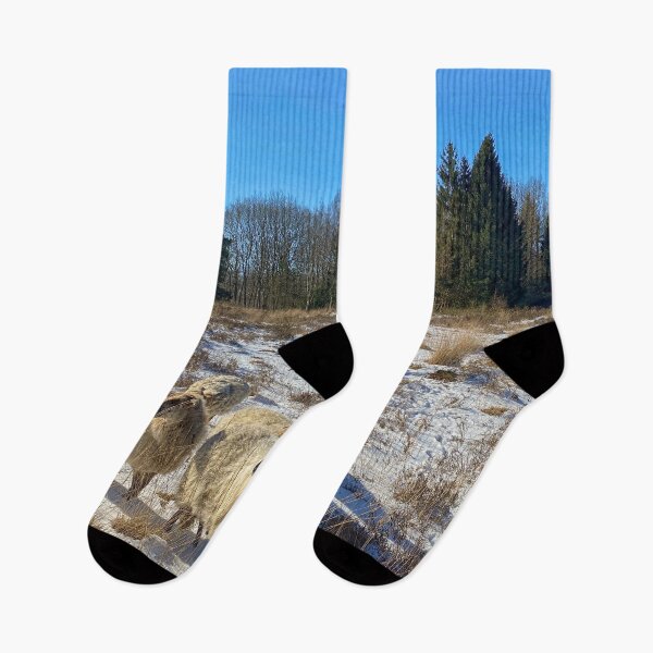 Item preview, Group of horned sheep in the snow on the heath in The Netherlands designed and sold by Photopat.