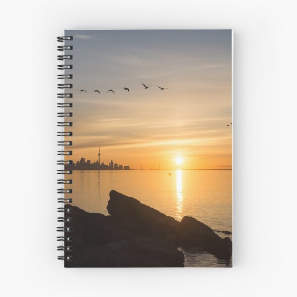 Item preview, Splendid Sunrise with Birds - Toronto Skyline with Free Flying Cormorants designed and sold by Georgia Mizuleva.
