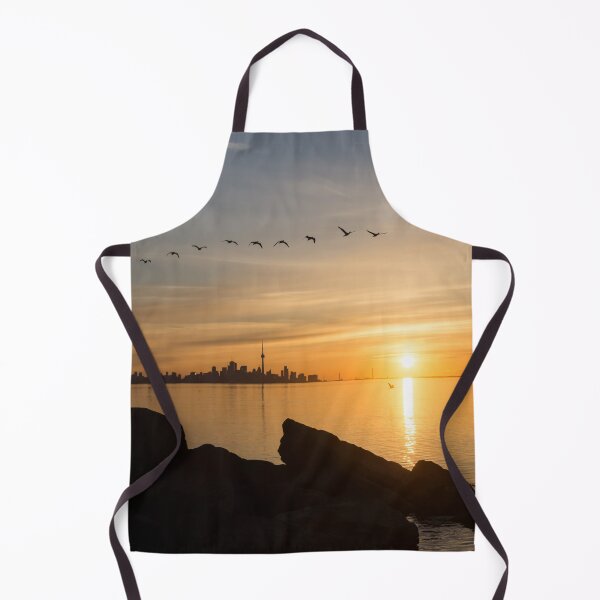Item preview, Splendid Sunrise with Birds - Toronto Skyline with Free Flying Cormorants designed and sold by Georgia Mizuleva.