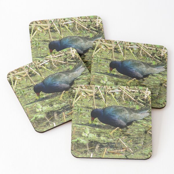 Item preview, purple gallinule  designed and sold by TabithaMalone.
