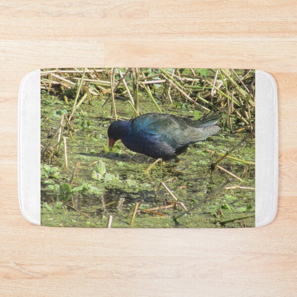 Item preview, purple gallinule  designed and sold by TabithaMalone.