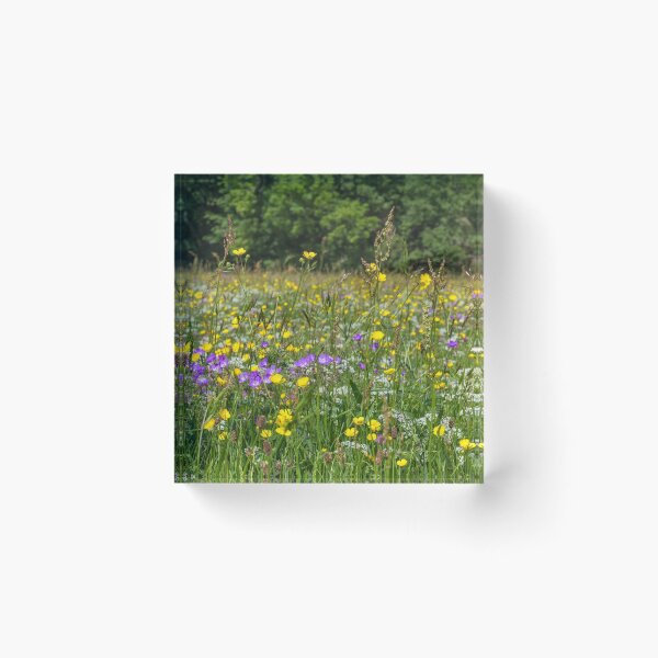 Item preview, Muker Hay Meadows designed and sold by TomHolmesPhoto.