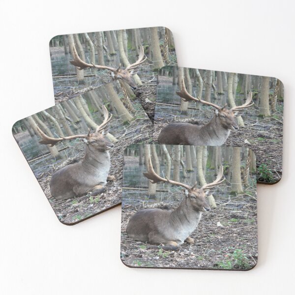 Item preview, wild brown deer with horns in the forest rests in the winter in front of a pond in tuscany designed and sold by alessiapenny.