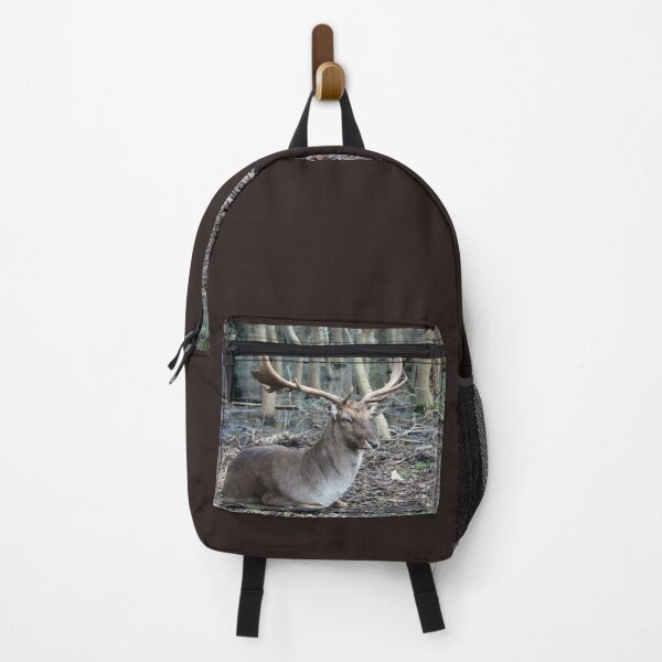 Item preview, wild brown deer with horns in the forest rests in the winter in front of a pond in tuscany designed and sold by alessiapenny.