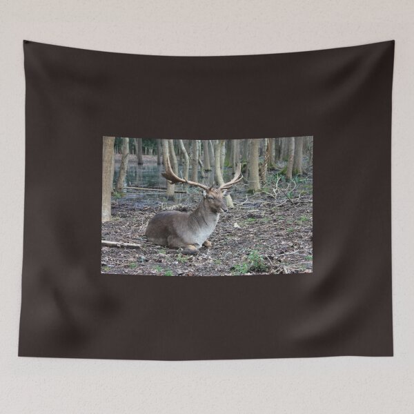 Item preview, wild brown deer with horns in the forest rests in the winter in front of a pond in tuscany designed and sold by alessiapenny.