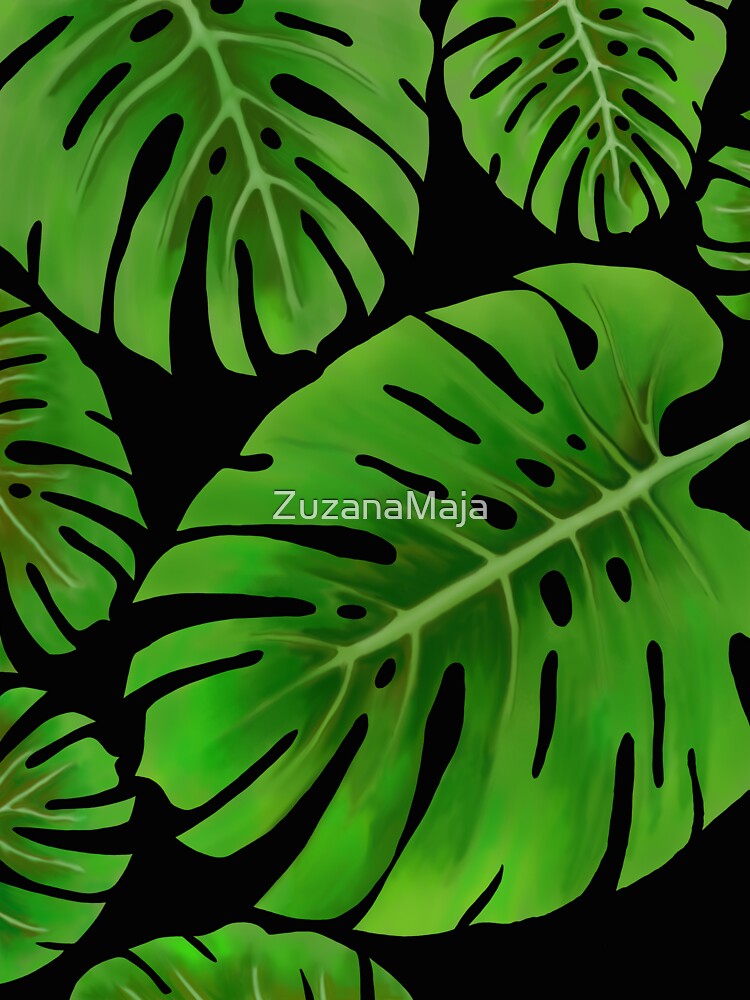 Tropical Leaf Monstera Leaves Tropical Leaves Tropical Decor Green Wall Decor Green