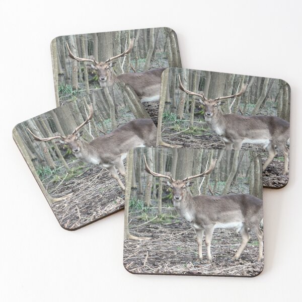 Item preview, wild brown deer with horns in the forest rests in the winter in front of a pond in tuscany designed and sold by alessiapenny.