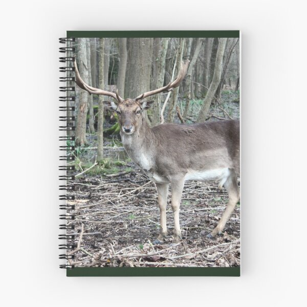Item preview, wild brown deer with horns in the forest rests in the winter in front of a pond in tuscany designed and sold by alessiapenny.