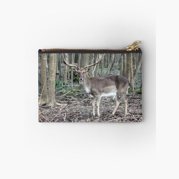 Item preview, wild brown deer with horns in the forest rests in the winter in front of a pond in tuscany designed and sold by alessiapenny.