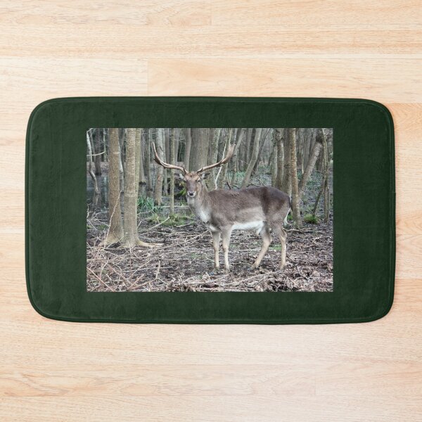 Item preview, wild brown deer with horns in the forest rests in the winter in front of a pond in tuscany designed and sold by alessiapenny.