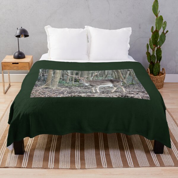Item preview, wild brown deer with horns in the forest rests in the winter in front of a pond in tuscany designed and sold by alessiapenny.