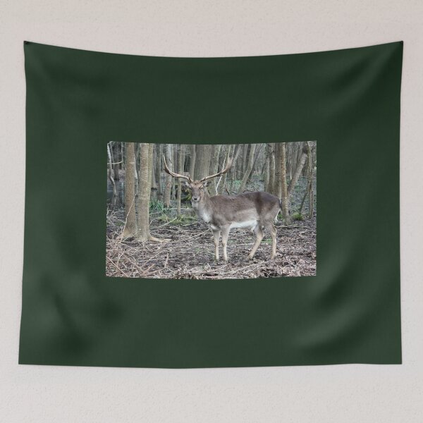 Item preview, wild brown deer with horns in the forest rests in the winter in front of a pond in tuscany designed and sold by alessiapenny.