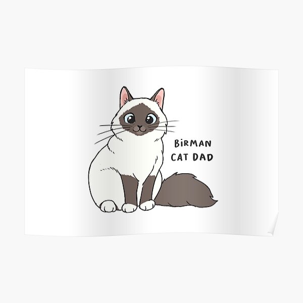 Posters Sur Le Theme Birman Redbubble