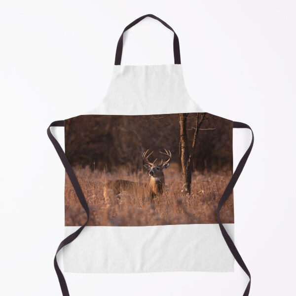 Item preview, Basking in the light - White-tailed deer designed and sold by James Cumming.
