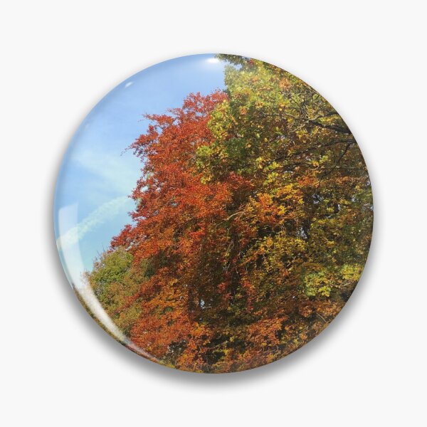 Item preview, Endcliffe Park designed and sold by AMoncurPhoto.