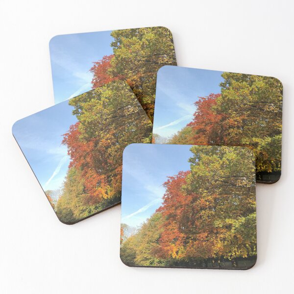 Item preview, Endcliffe Park designed and sold by AMoncurPhoto.