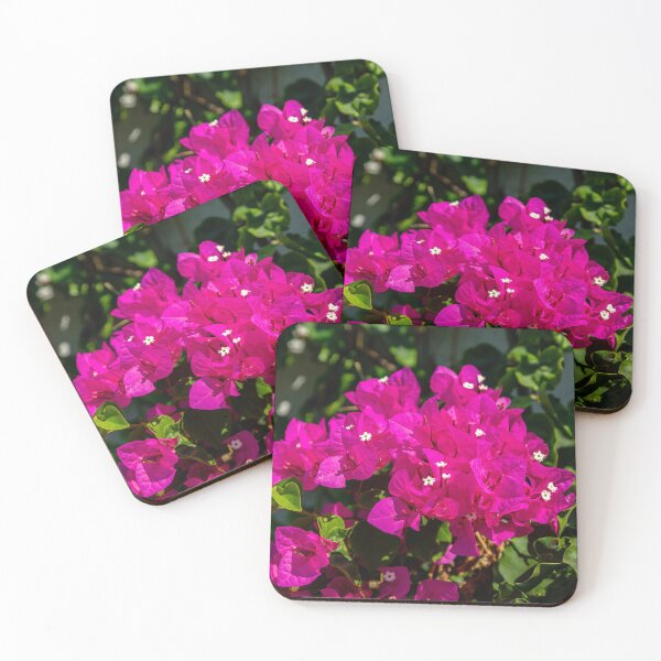 Item preview, Bougainvillea blossom designed and sold by Dalyndigital Photography.