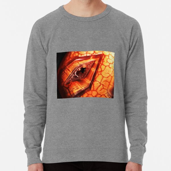 Dragon's Eye (Fire Agate) Lightweight Sweatshirt