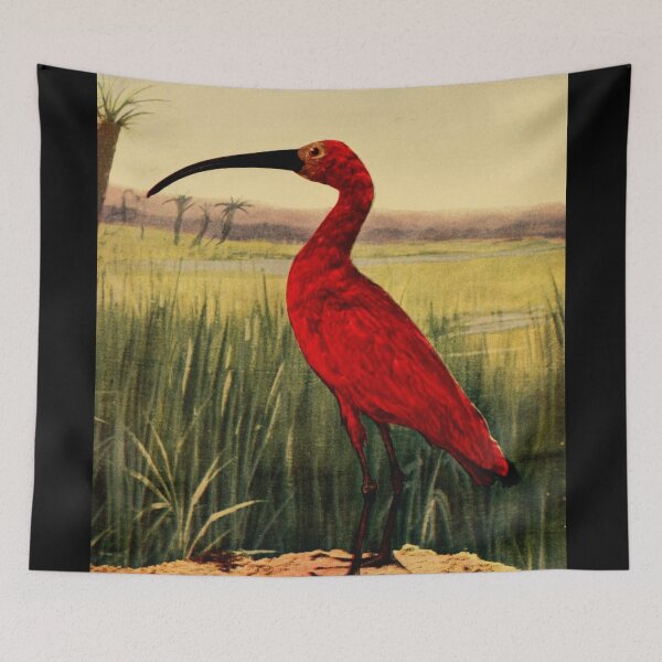Item preview, Scarlet Ibis designed and sold by Santanu1990.