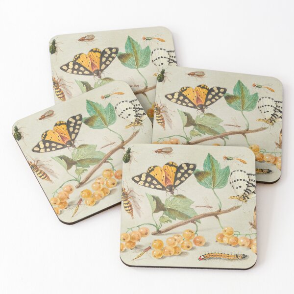 Item preview, Study of Butterfly and Insects 17th Century designed and sold by Vintage Wall Art.