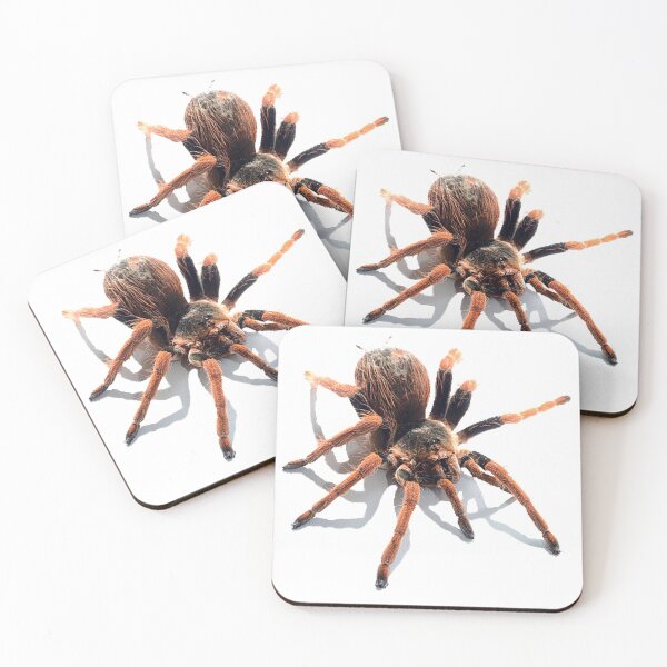 Item preview,  animal, spider, cobweb designed and sold by Viktoriia Trubiichuk.