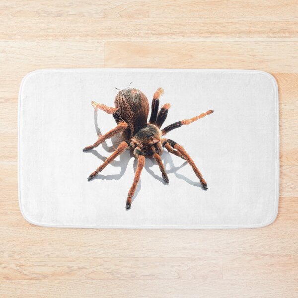 Item preview,  animal, spider, cobweb designed and sold by Viktoriia Trubiichuk.