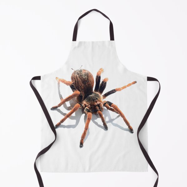 Item preview, animal, spider, cobweb designed and sold by Viktoriia Trubiichuk.