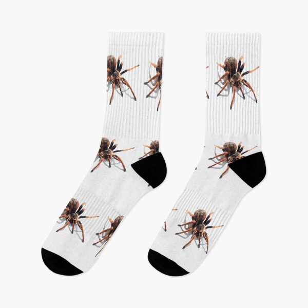 Item preview,  animal, spider, cobweb designed and sold by Viktoriia Trubiichuk.