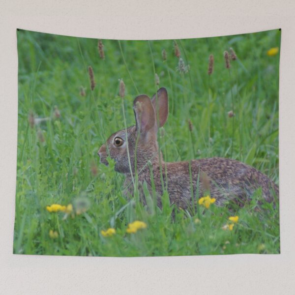 Item preview, Cottontail Rabbit designed and sold by cherylorraine.